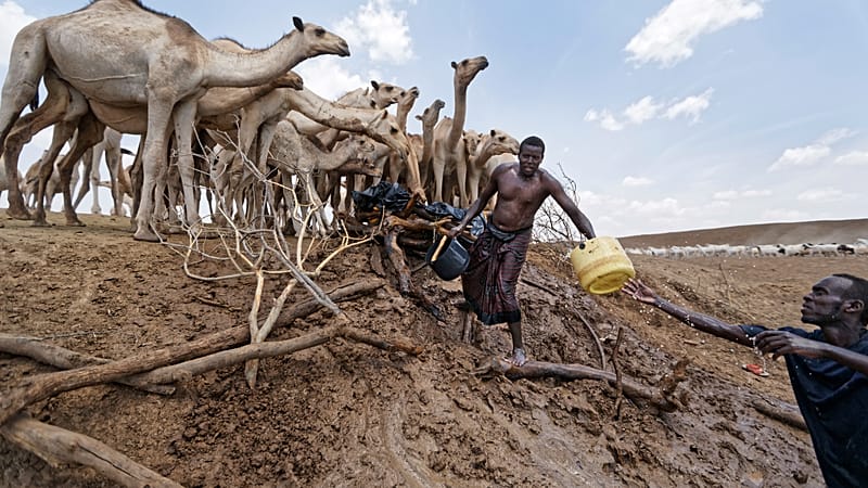 Video thumbnail for Drought in Kenya spreads beyond arid north