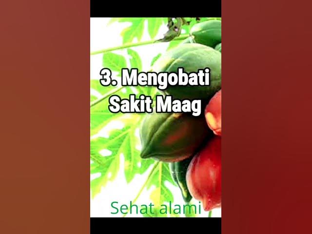 Video thumbnail for Manfaat daun pepaya untuk Kesehatan#shorts #manfaatdaunpepaya #videoshort