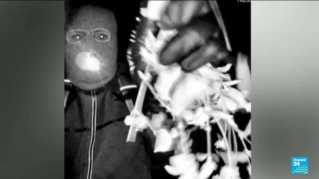 Video thumbnail for Suspect detained in Nancy Guthrie abduction as video of armed man released