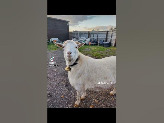 Video thumbnail for 17 November 2025