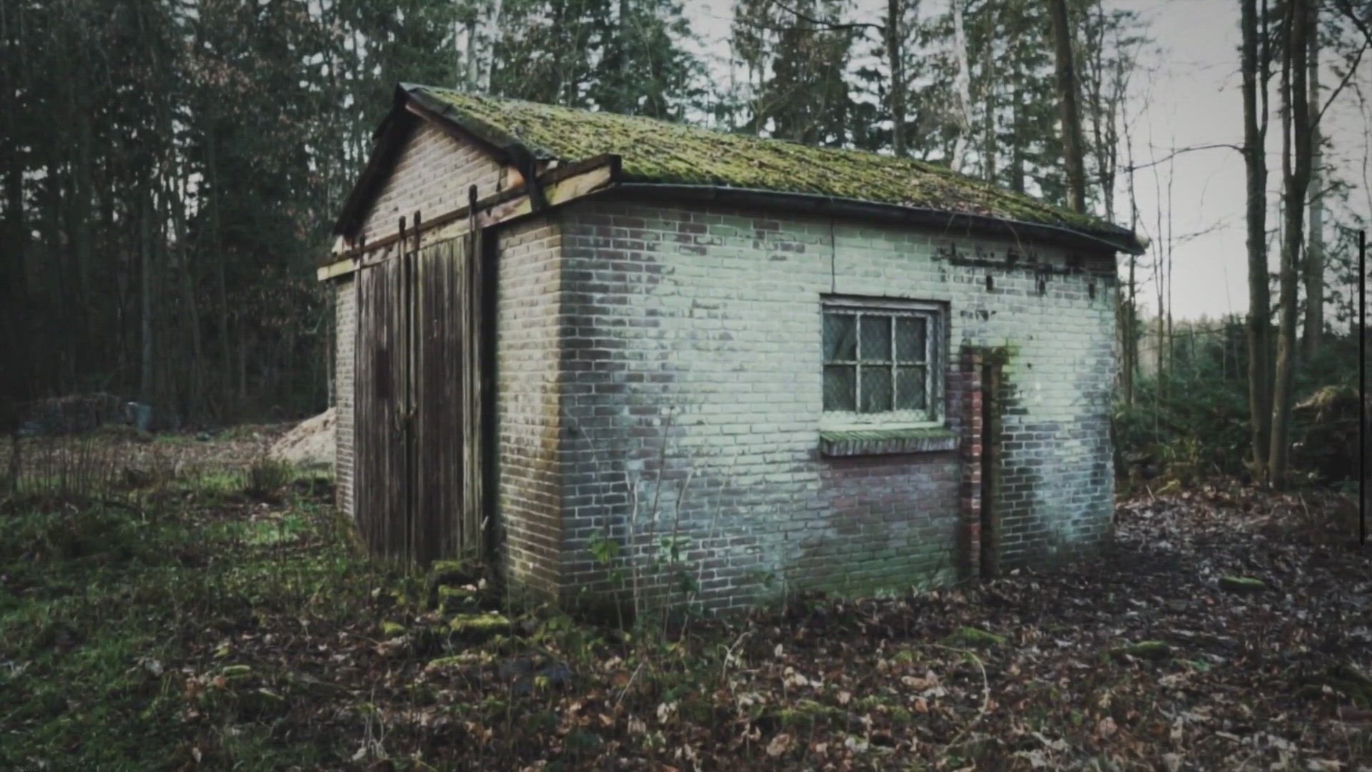 Video thumbnail for How to Turn Your Shed into a Man Cave