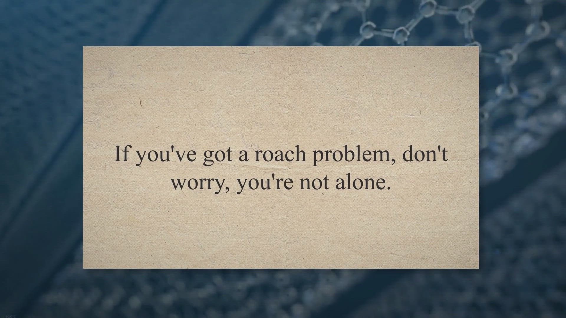 Video thumbnail for The 5 Best Ways to Get Rid of Cockroaches in Your House