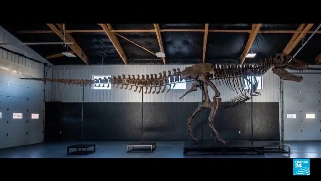 Video thumbnail for T. rex skeleton fetches record $50.1 mn at US auction