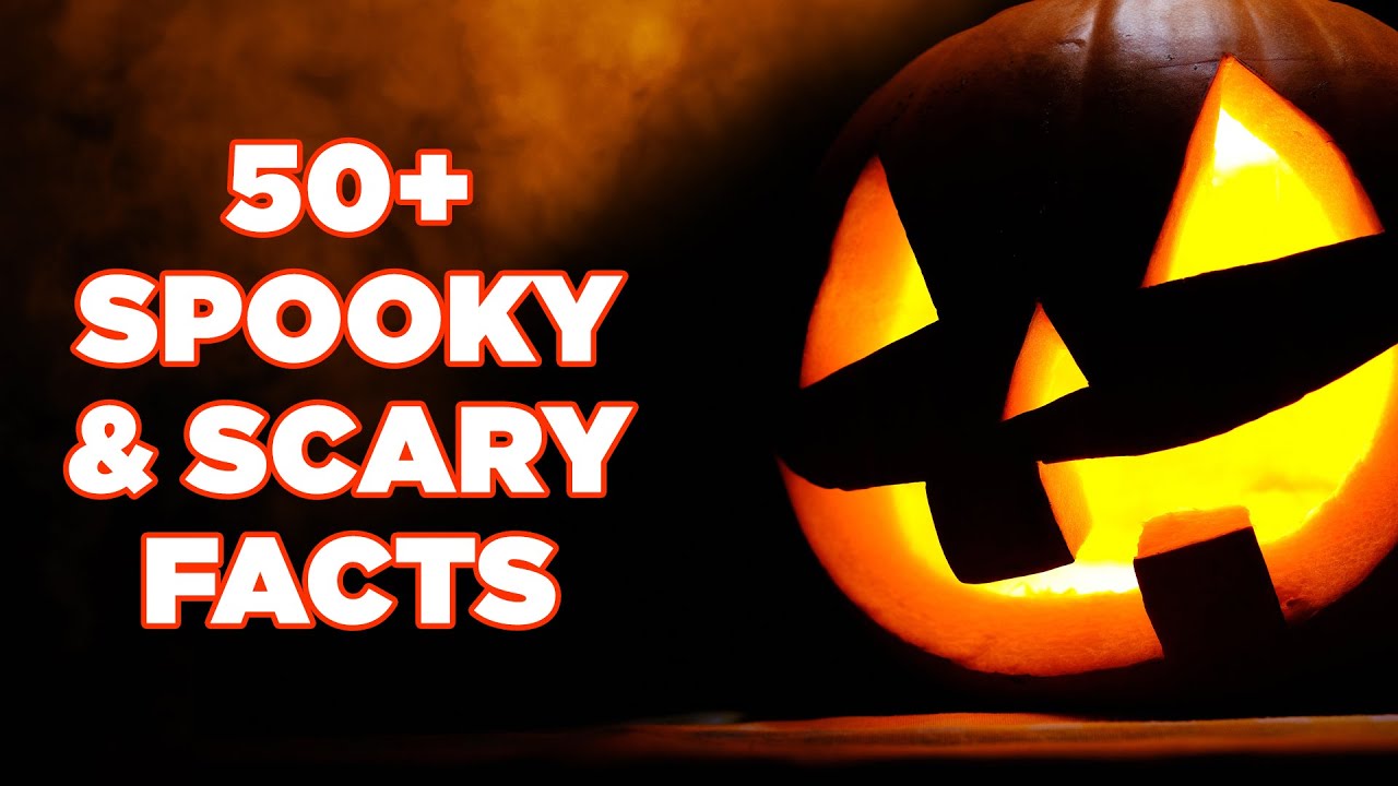 Video thumbnail for 50+ Creepy Halloween Facts to Chill You | Relaxing Jack-o'-Lantern Ambience | Mental Floss