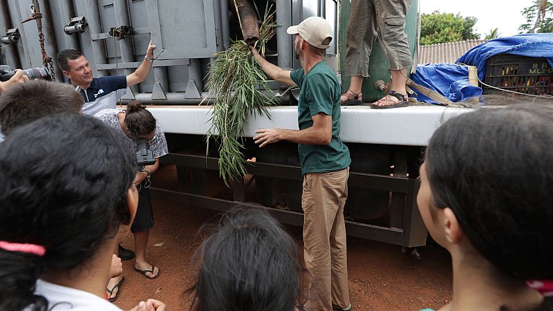 'Video thumbnail for Brazil elephant sanctuary welcomes its newest resident, rescued from a zoo in Argentina'