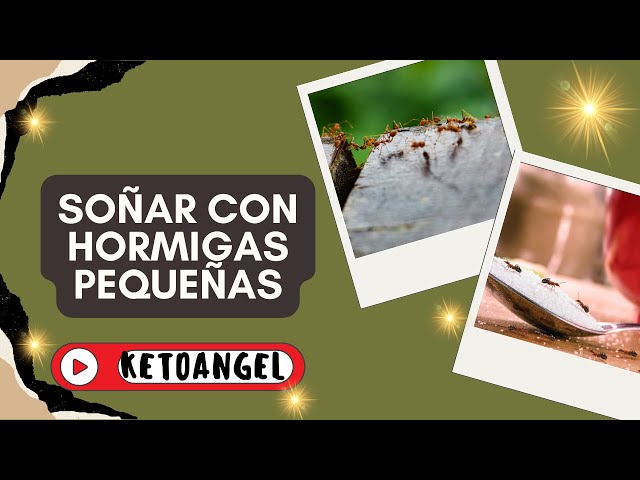 'Video thumbnail for Soñar con hormigas pequeñas: explorando significados ocultos en los sueños'