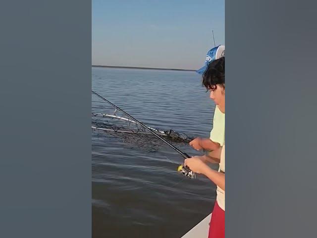 Video thumbnail for 🚨15 Year Old Lands GIANT Lake Record Catfish! 🤯