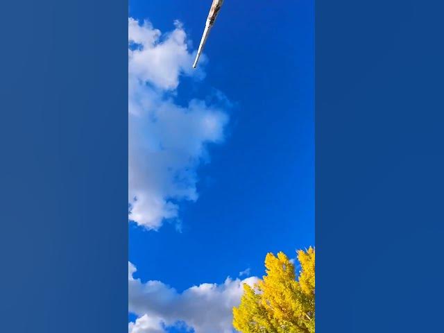 Video thumbnail for Pornstar Dancing #fpv #drone #viralshorts