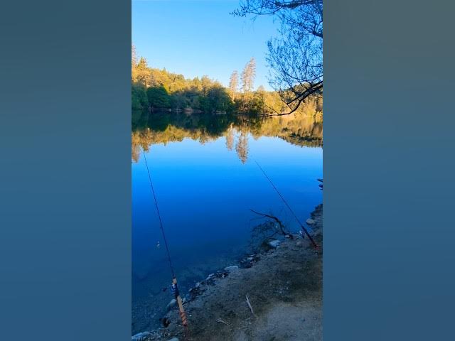 Video thumbnail for Early Mornin Trout Fishin Trip 🎣