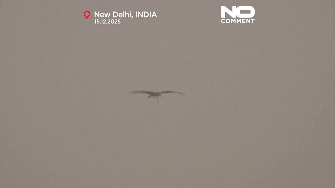 Video thumbnail for Toxic smog blankets New Delhi plunging air quality to hazardous levels
