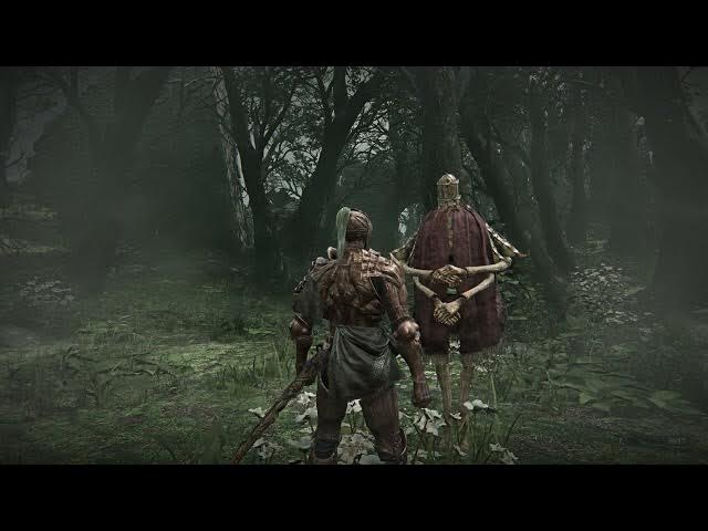 Video thumbnail for Elden Ring Nightreign - Executer Remembrance Quest: Give Flowers To Iron Menial | Paint a Picture