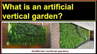 'Video thumbnail for What is an artificial vertical garden?'