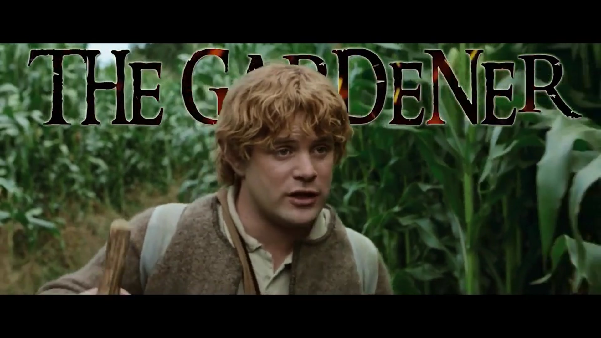 'Video thumbnail for Why This Is The REAL Hero Of The Lord Of The Rings'