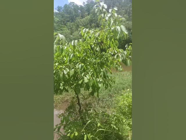 Video thumbnail for September 20, 2025