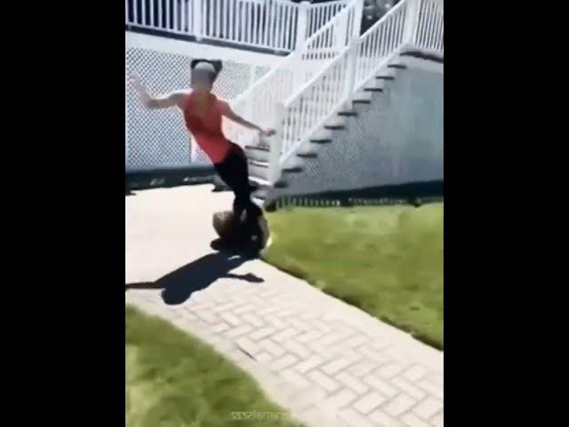 Video thumbnail for Funny animal moments