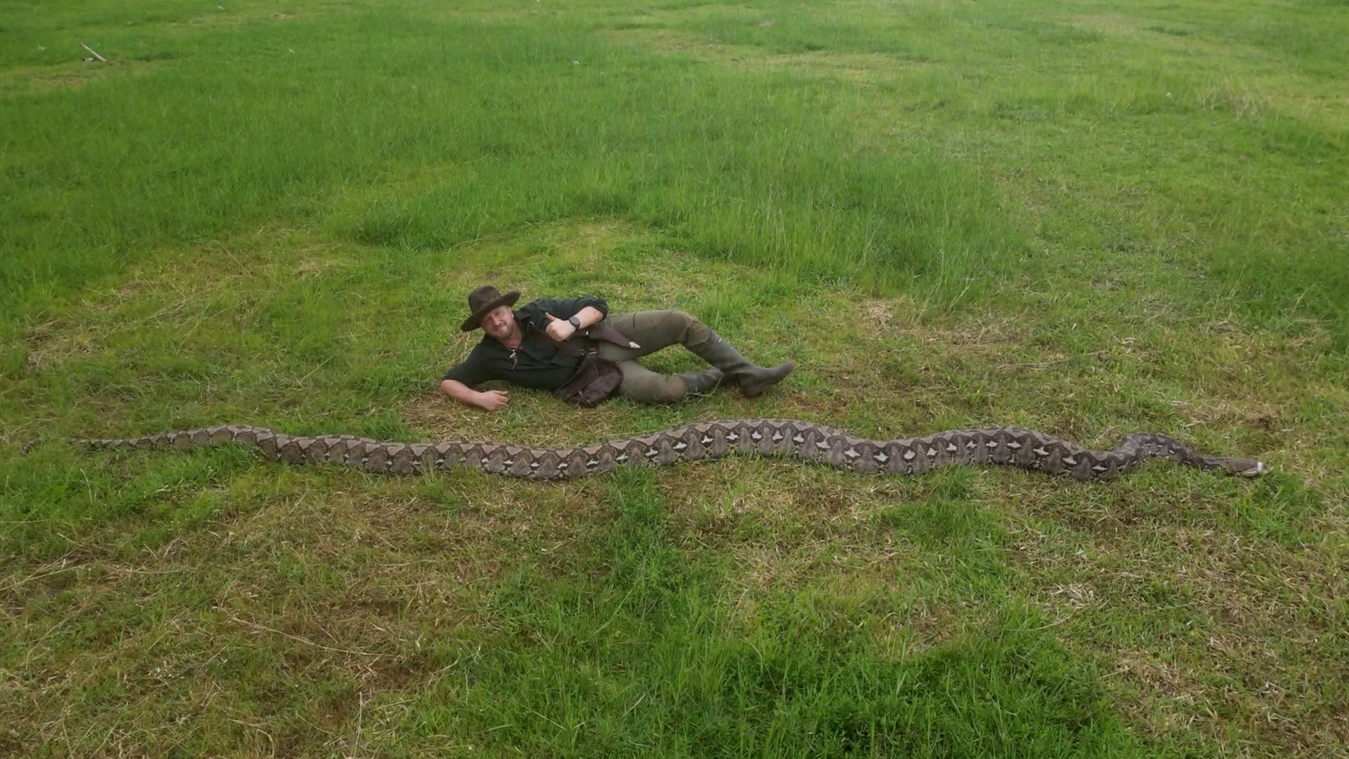 Video thumbnail for Longest wild snake specimen  The Baroness at 7.22 m (23 ft 8 in)