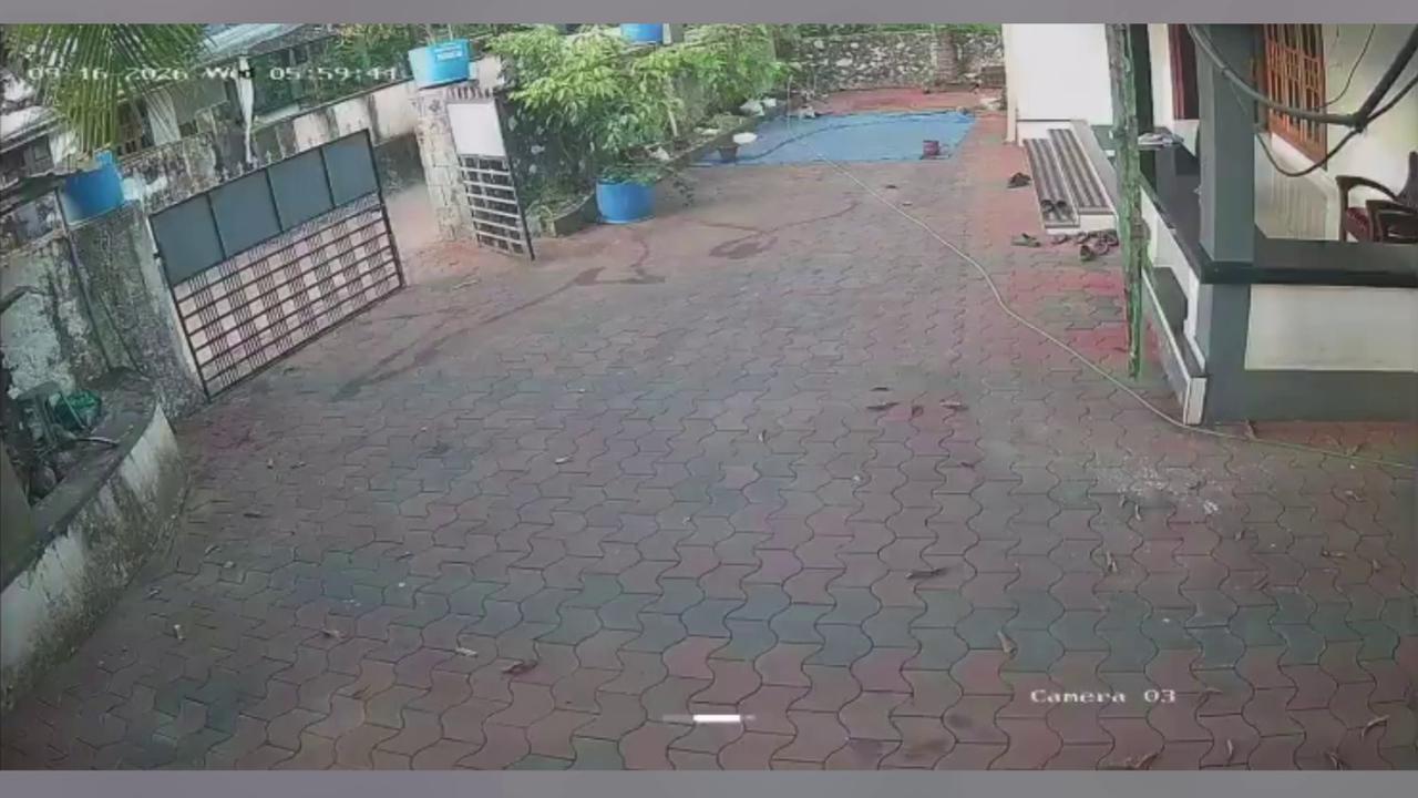 Video thumbnail for India: Quiet morning turns terrifying as wild boar charges man reading newspaper at home.