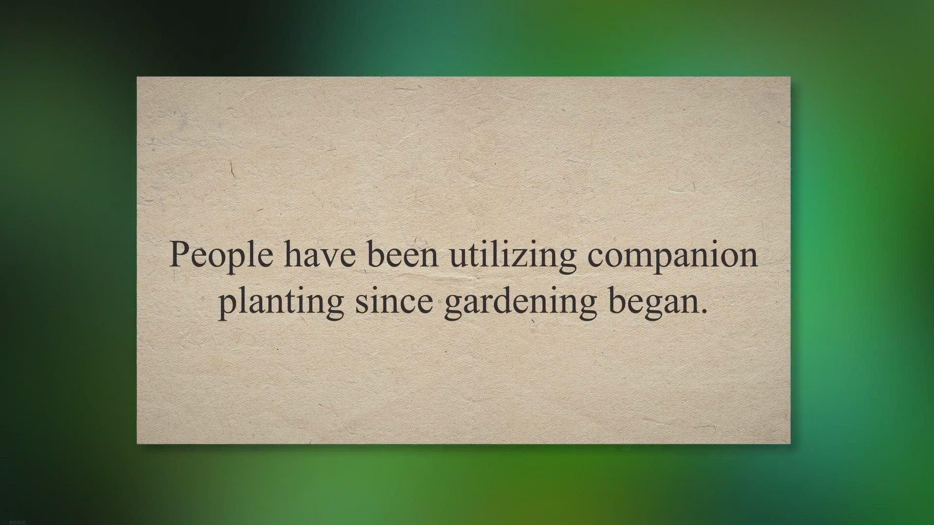 Video thumbnail for Why Should You Not Plant Cucumbers Near Tomatoes