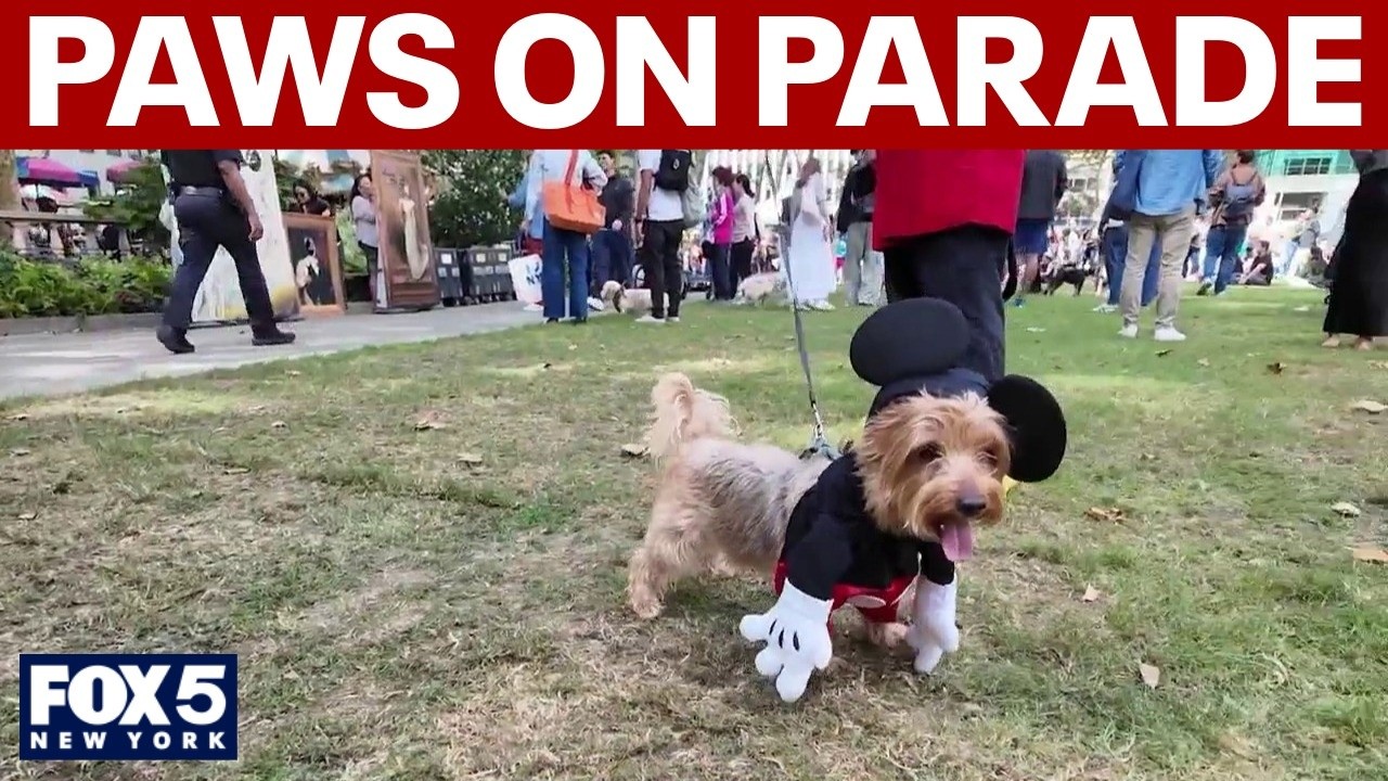 Video thumbnail for Paws on parade at Bryant Park