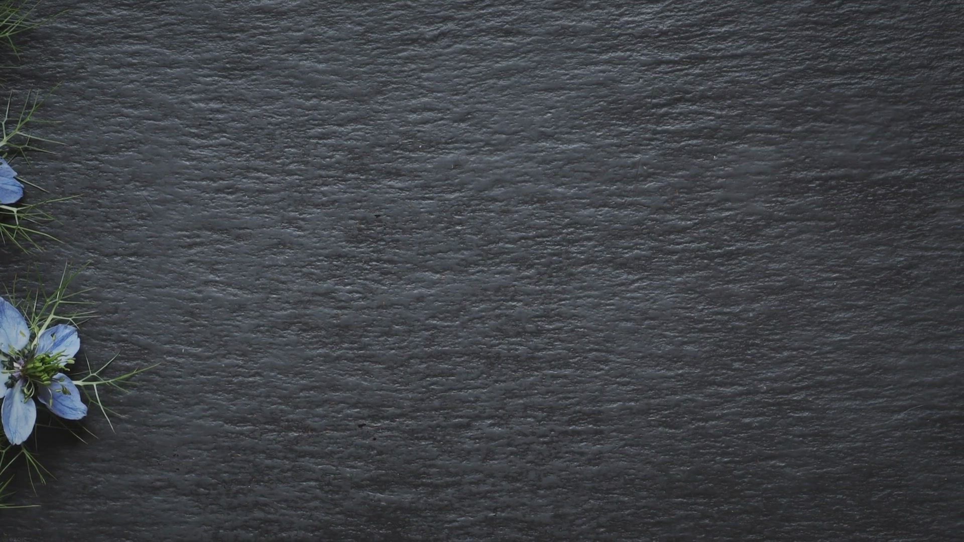 Video thumbnail for Container of kliko schoonmaken – de beste tips!