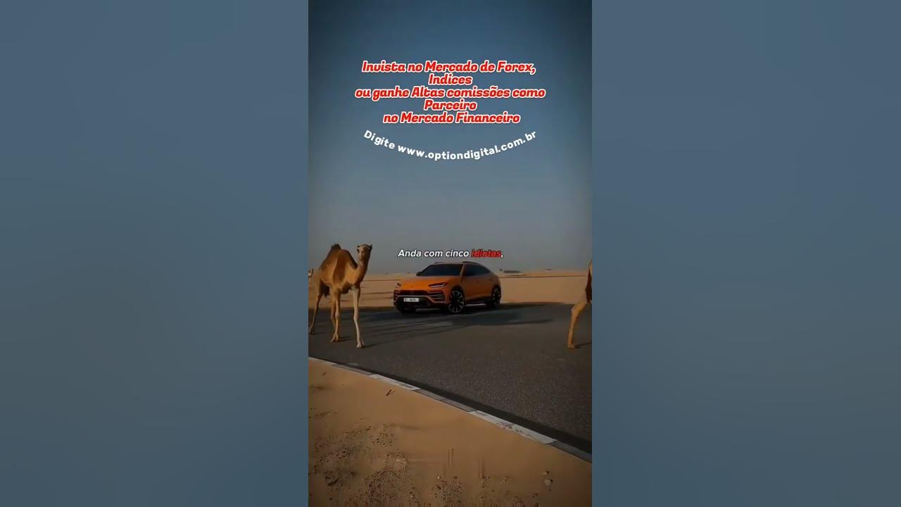 Video thumbnail for Qual é a sua escolha? Link nos comentários