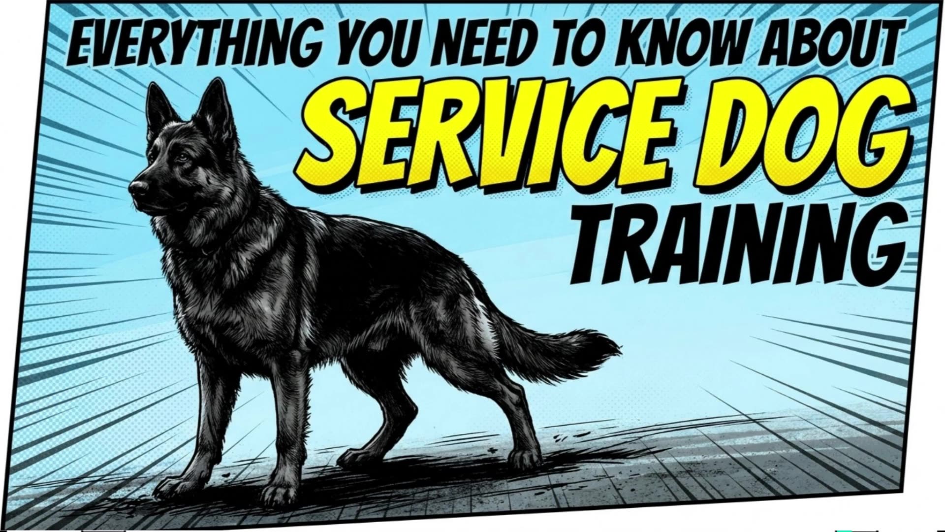 Video thumbnail for The Training Process for Service Dogs