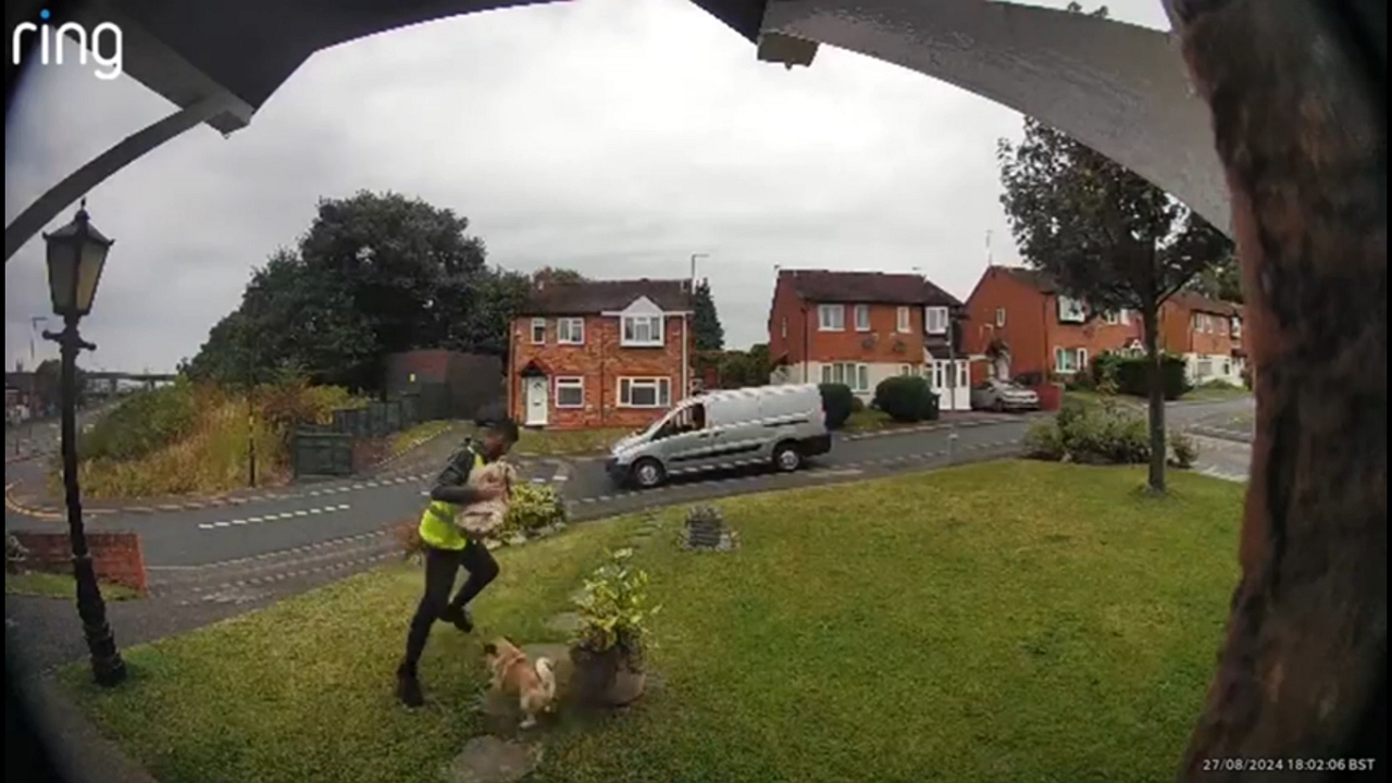 Video thumbnail for Pug Playfully Chases Delivery Man in Birmingham