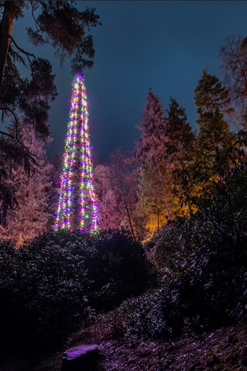 Video thumbnail for Tallest bedded Christmas tree  44.70 m (146 ft 7 in) by National Trust Cragside