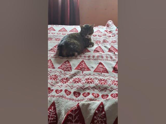 Video thumbnail for Know your place, Ghost....