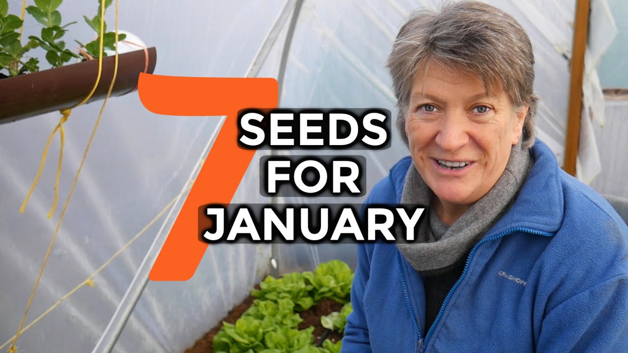 Video thumbnail for What to sow in JANUARY | 7 Easy To Grow Crops