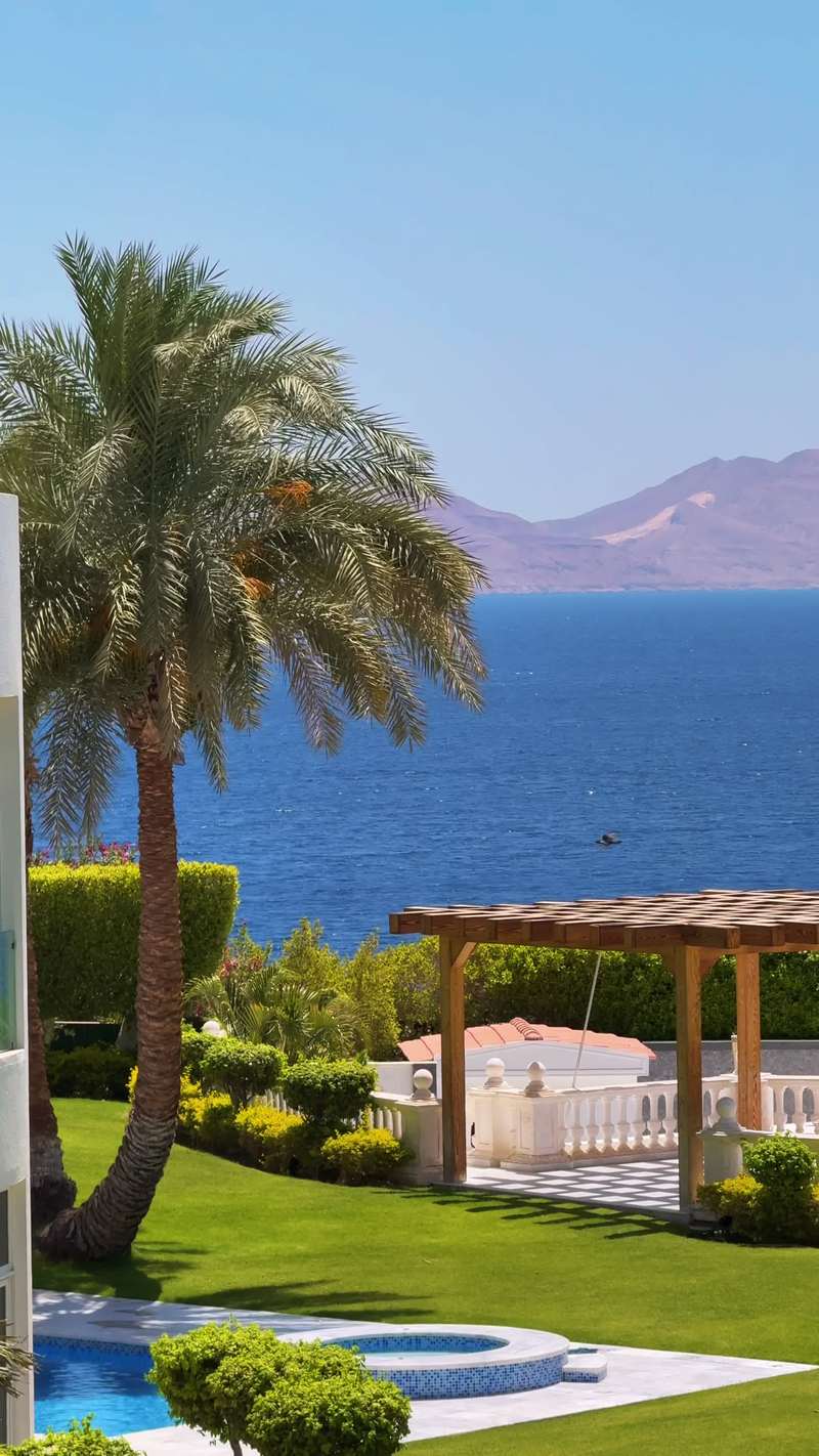 Video thumbnail for Magical Moments from an Egyptian Desert and Sea Journey