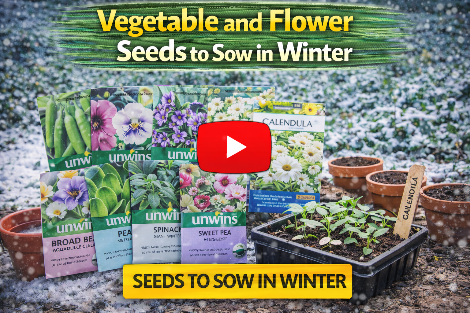 Video thumbnail for Vegetable and Flower Seeds to Sow in Winter