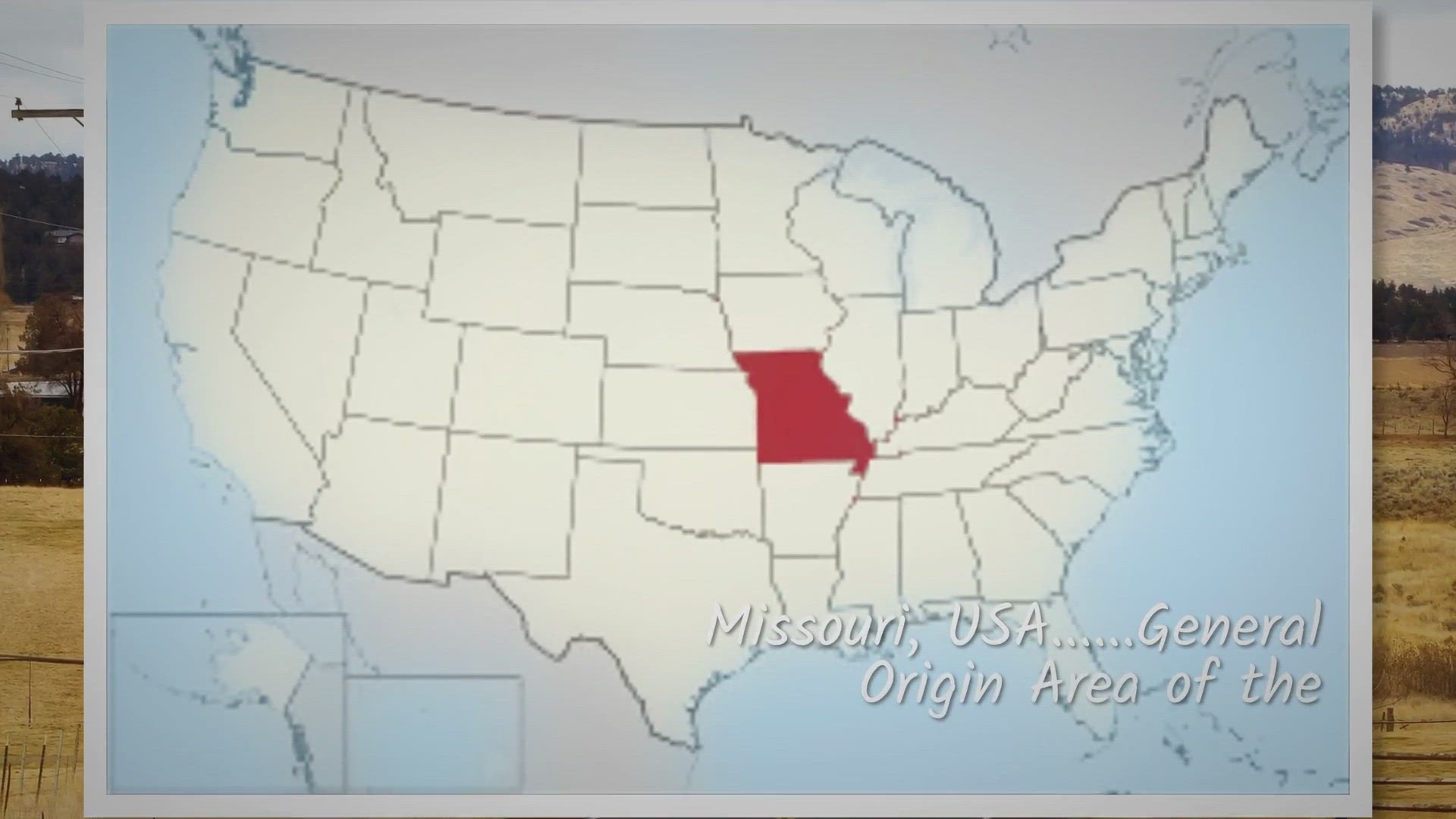 Video thumbnail for Hereford Pigs: Explore Their Rich History and Characteristics