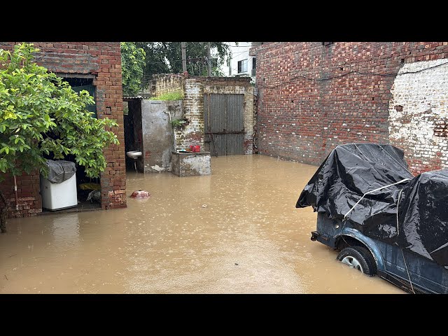 Video thumbnail for ਬੁਰਾ ਹਾਲ ਕਰਤਾ ਮੀਂਹ ਨੇ 🥺😢🙏🏻🌧️#sandeepchahal !