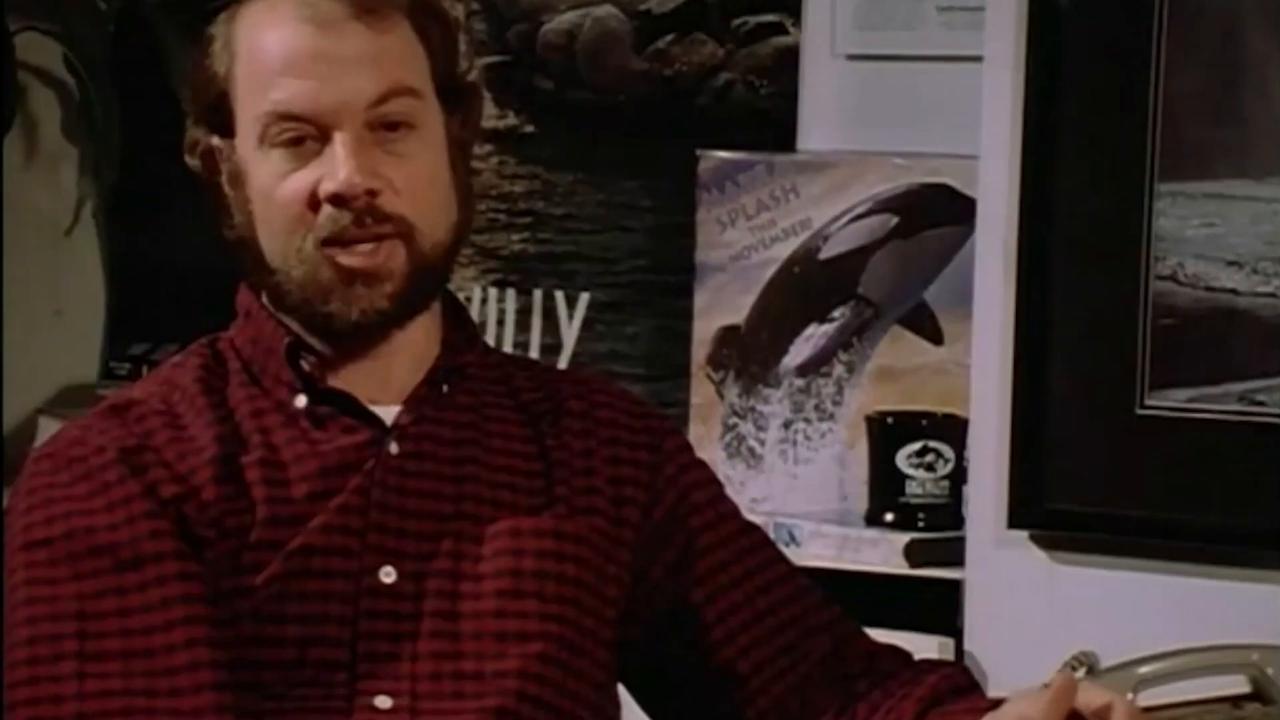 Video thumbnail for The Tragic Untold Story of Keiko The Orca