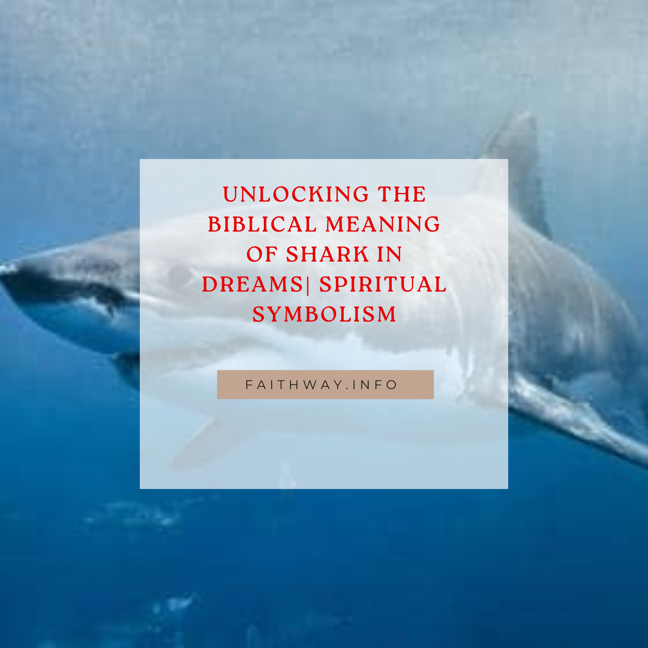 Video thumbnail for Unlocking the Biblical Meaning of Shark in Dreams| Spiritual Symbolism
