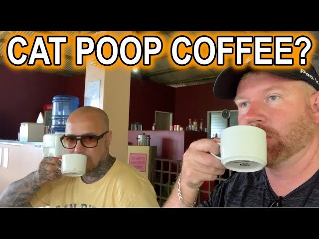 Video thumbnail for Most Expensive Coffee at Mt Apo Philippines