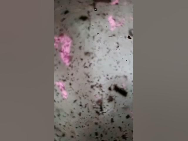 Video thumbnail for wit a lil ms interruption... 🤦🏿‍♂️🤷🏿‍♂️