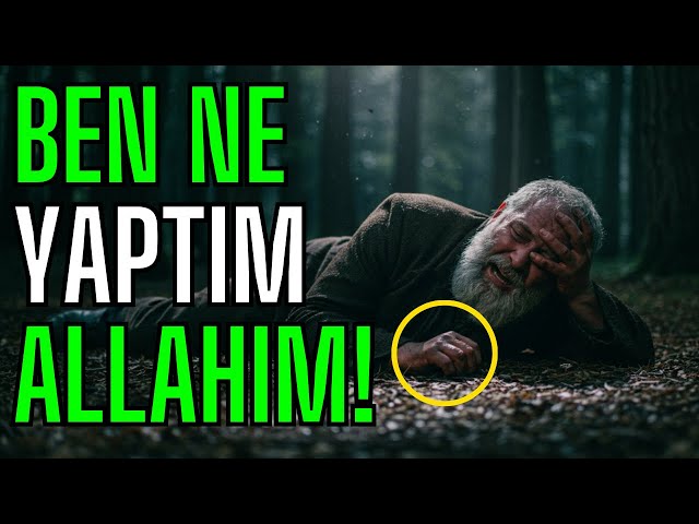 'Video thumbnail for ORMANCI Ava Çıktı Ama Avladığı TAVŞAN Değildi (Gerçek Hikaye)'