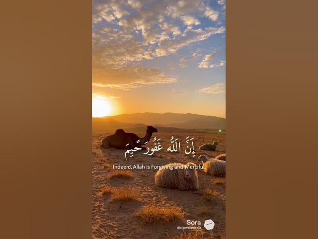 Video thumbnail for please support my channel#subscribe #beautiful #shortvideo #trendingshorts