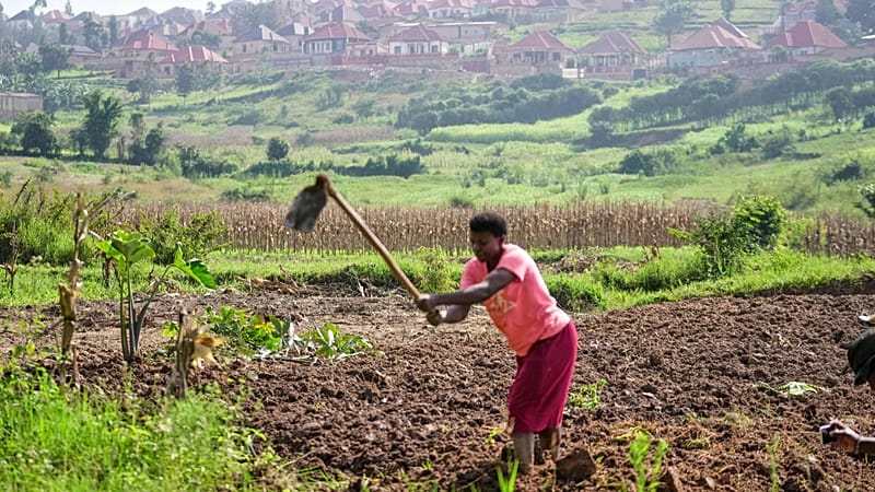 Video thumbnail for Recurring landslides in northern Rwanda destroy land and farmland