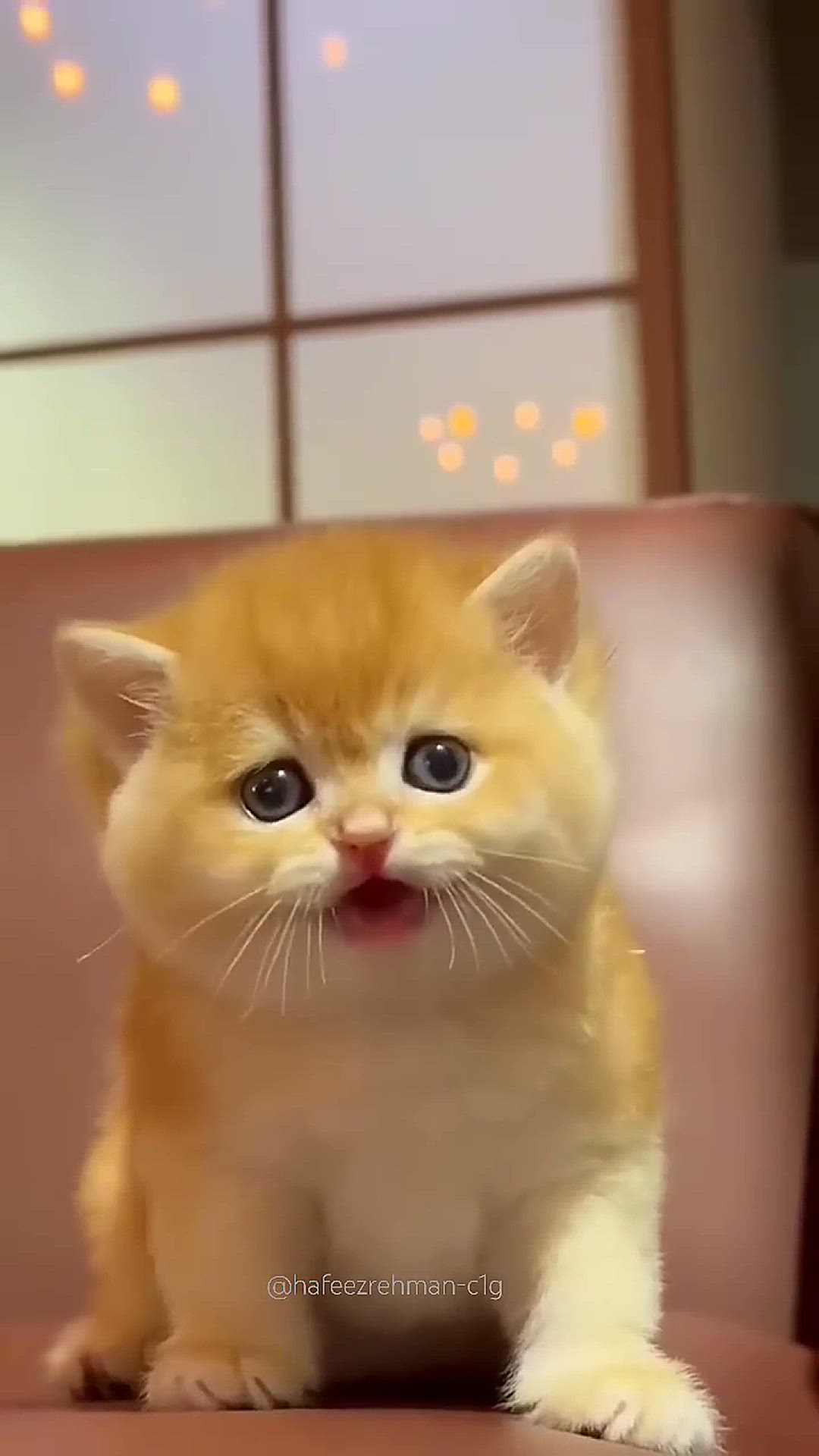 Video thumbnail for Little cars having fun😜 #shorts #viralvideo