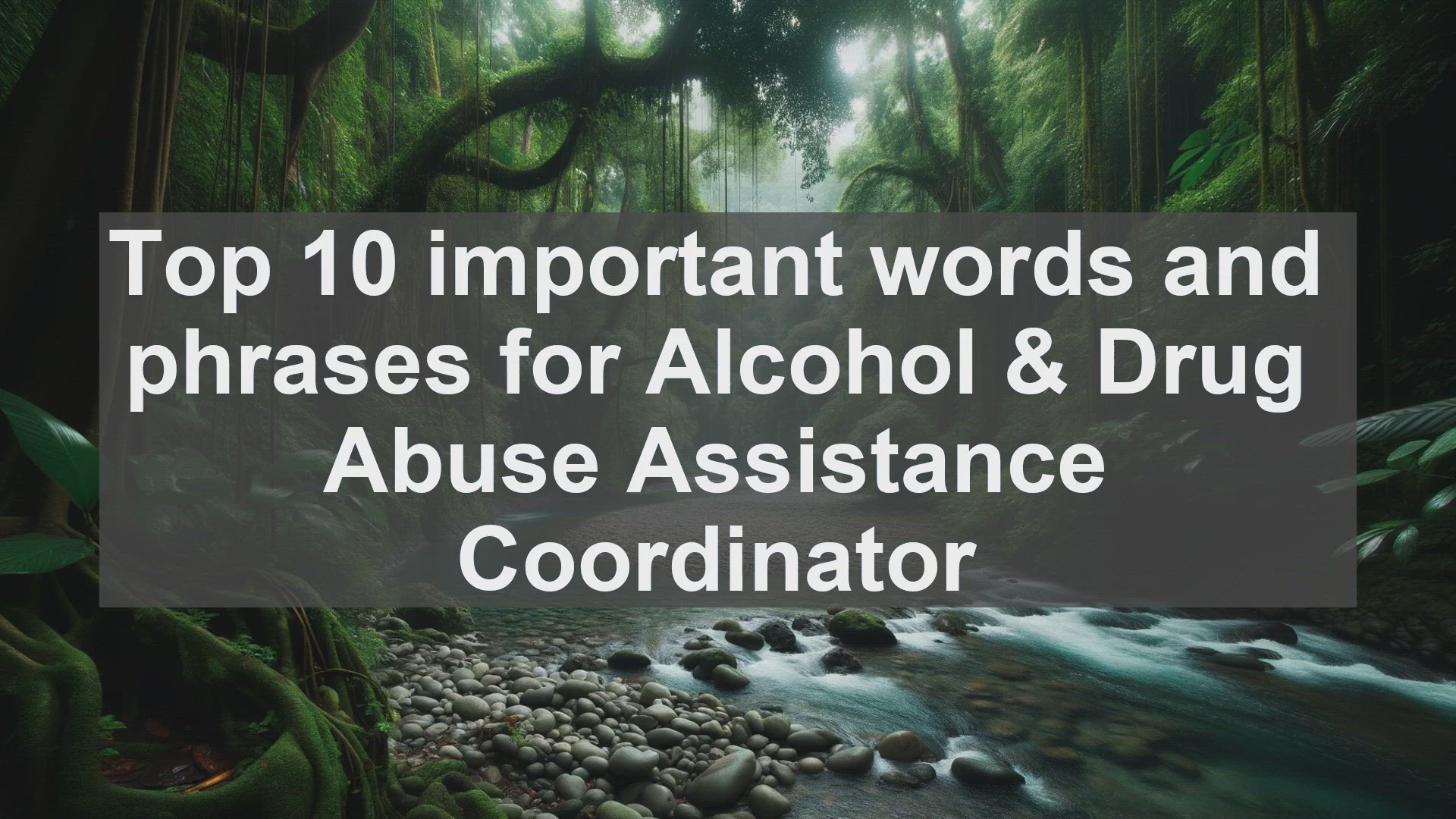 'Video thumbnail for Top 10 important words and phrases for Alcohol  Drug Abuse Assistance Coordinator'