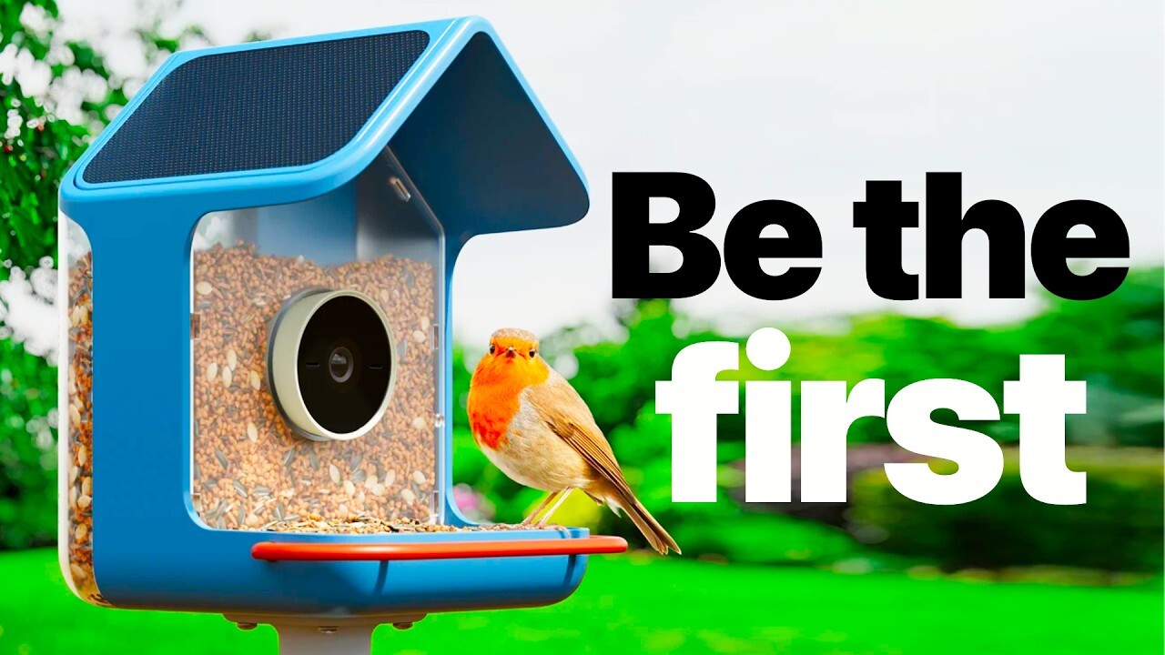 Video thumbnail for Enjoy the view! Birdbuddy 2