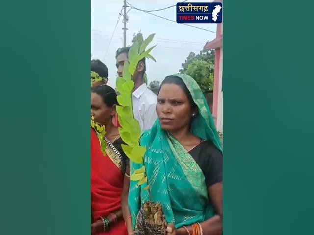 Video thumbnail for एक पेड़ माँ के नाम अभियान के तहत ,अनेकों पेड़ जा रहे हैं शिक्षिका ने बताई लोंगो को पेड़ का महत्व