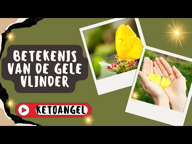 'Video thumbnail for Betekenis van de Gele Vlinder in Dromen en Spirituele Interpretatie'