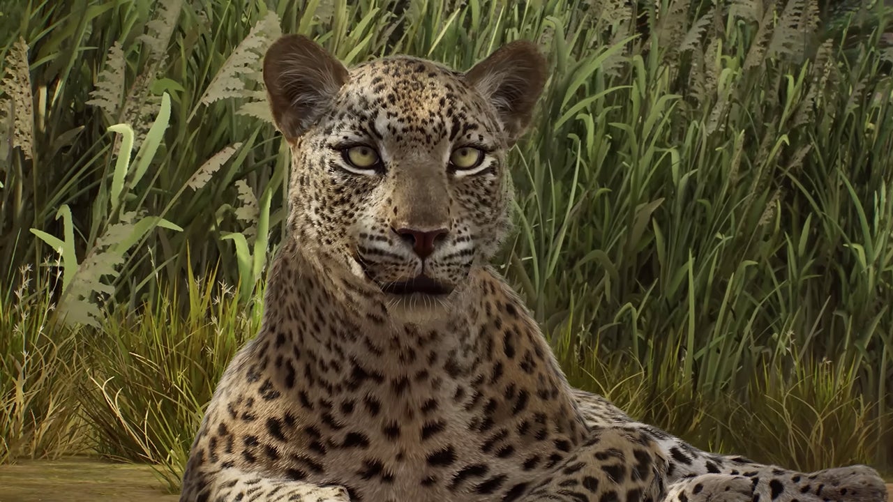 Video thumbnail for Planet Zoo 2 - Official Animal Spotlight: African Leopard Trailer