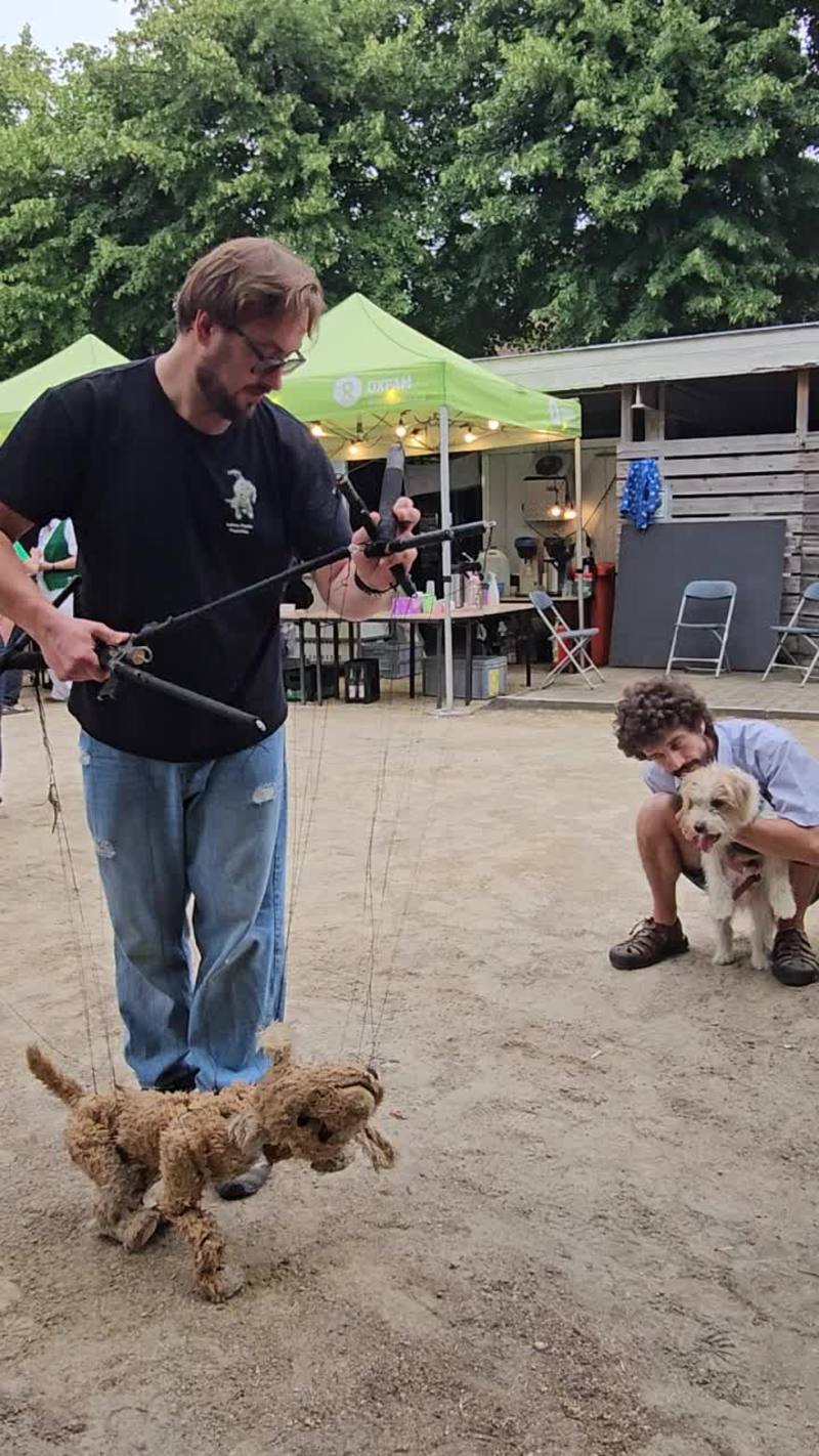Video thumbnail for Dog Marionette Entertains a Curious Pup at Outdoor Festival