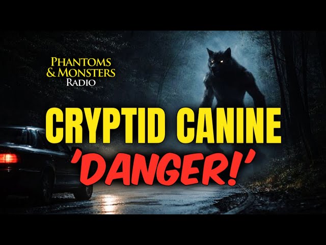 Video thumbnail for 'DANGER!' CRYPTID CANINES: Encounters That Nearly Turned Deadly