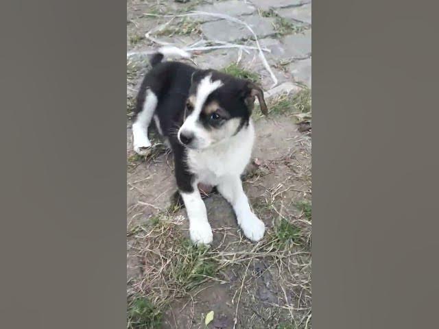 Video thumbnail for #motivation